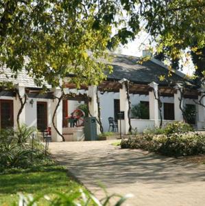 simonsig in stellenbosch